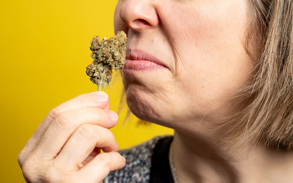 woman wrinkling her nose at bad smelling cannabis