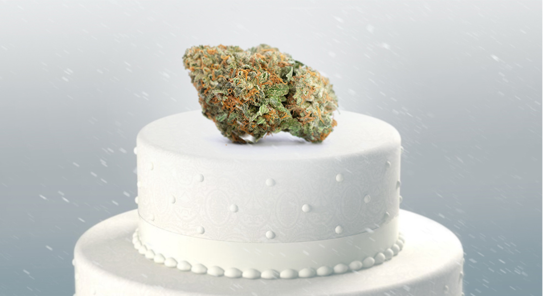 What-Is-%E2%80%9CWedding-Cake%E2%80%9D-Weed-and-What-Makes-This-Strain.jpg