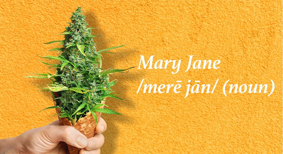 Why Do We Refer to Weed as "Mary Jane" and Where Did the Nickname Come From?