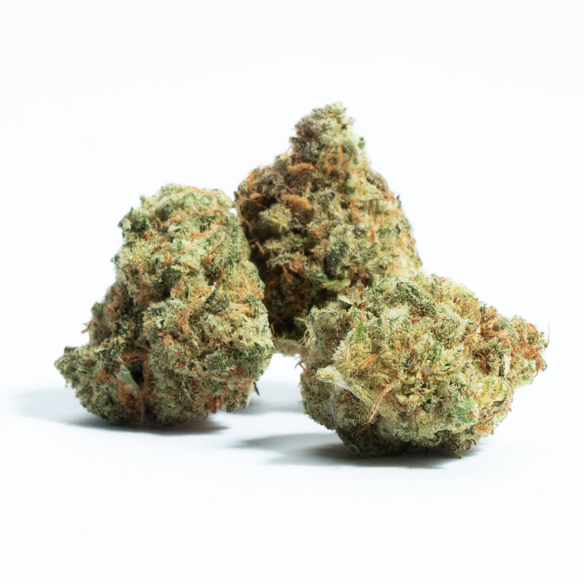 why-is-pink-kush-such-a-big-deal-in-canada-mj-pureplay-index