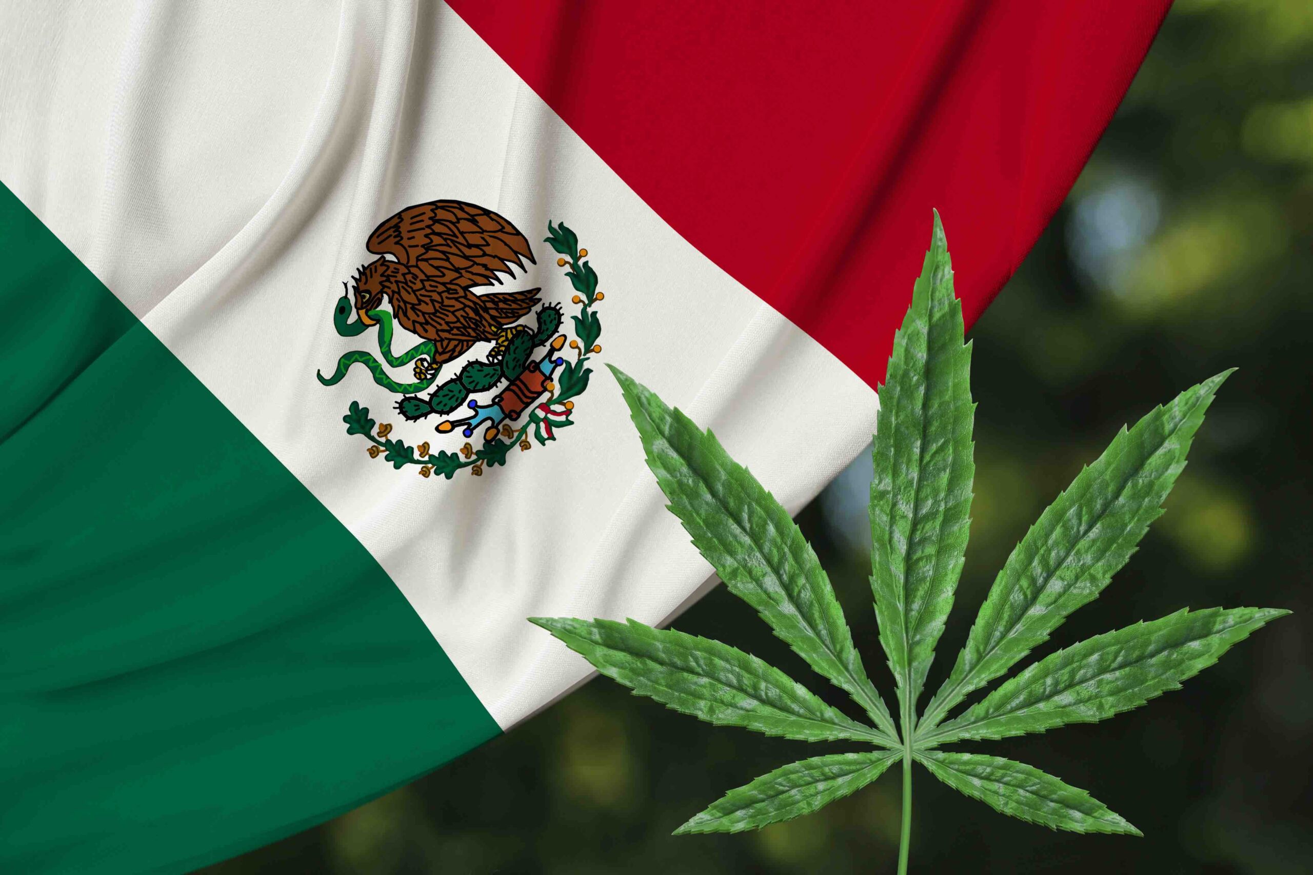 Mexico has a new marijuana legalization bill. Here's what's in it