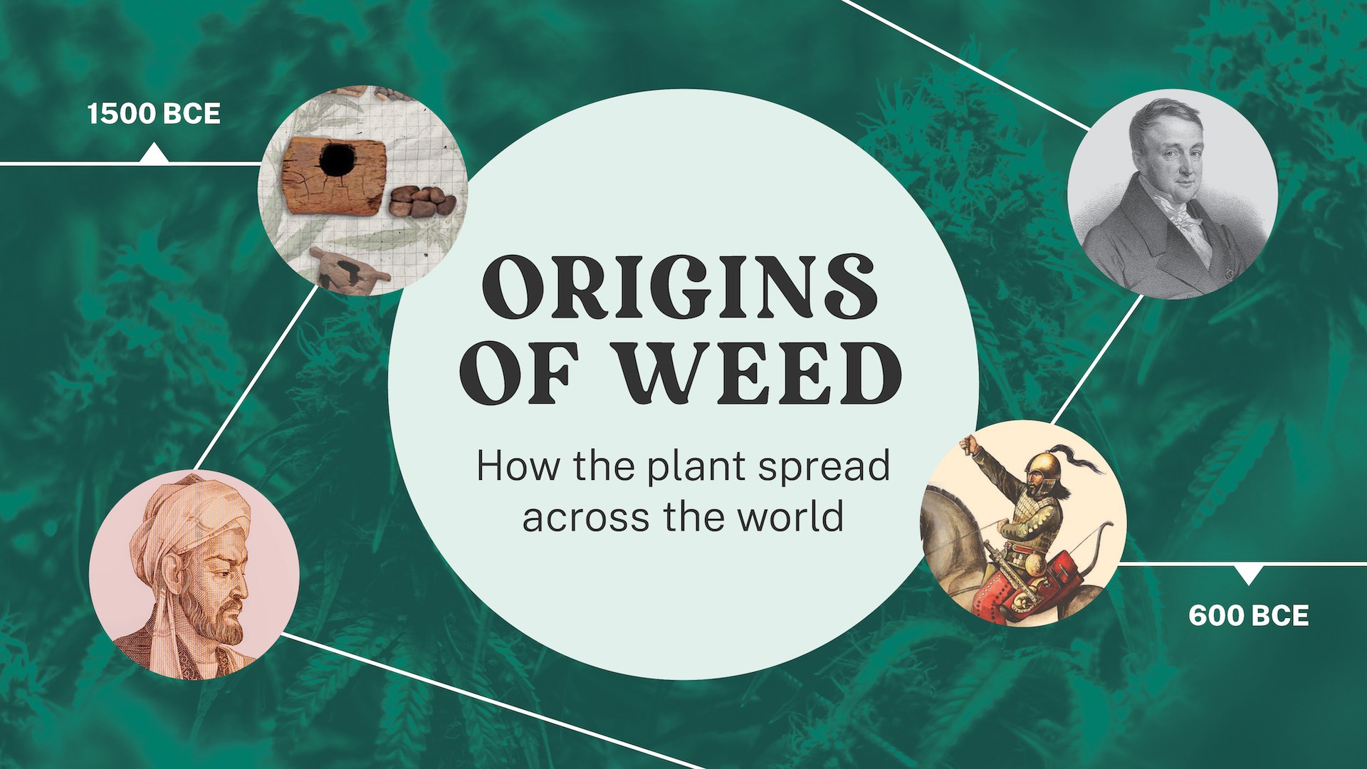 The Origins Of Weed: How The Plant Spread Across The World – MJ ...