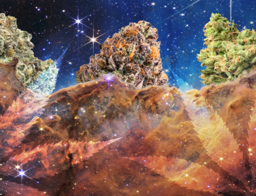 The Roll-up #249: Contemplating the universe with cannabis