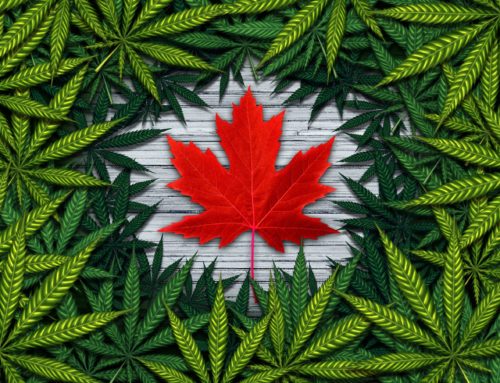 Canada Establishes Expert Panel To Review Cannabis Act