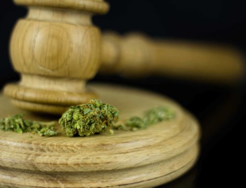 Study Finds Weed Cases Are Clogging Pennsylvania Courts