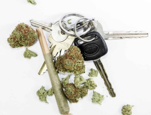 Canadian Study Links Cannabis Legalization to an Increase in Car Accidents